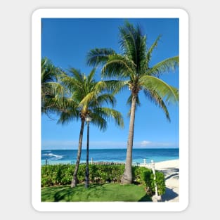 Palm trees on the Caribbean, Cancun, Mexico Sticker